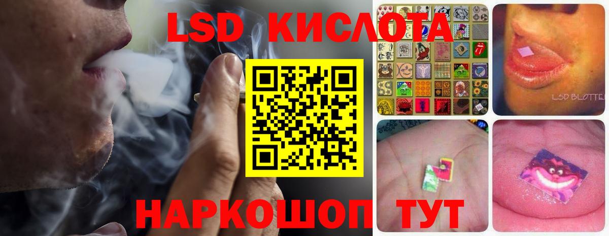 A PVP Лениногорск