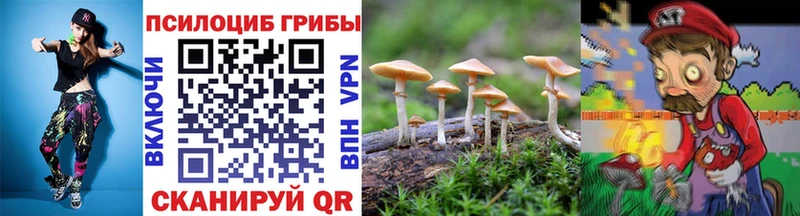 Галлюциногенные грибы мицелий  где купить   Лениногорск 