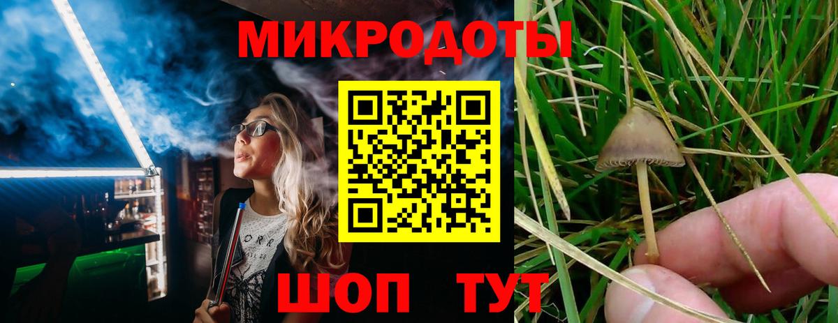 Галлюциногенные грибы MAGIC MUSHROOMS  Вход с VPN  Галлюциногенные грибы ЛСД  Лениногорск 